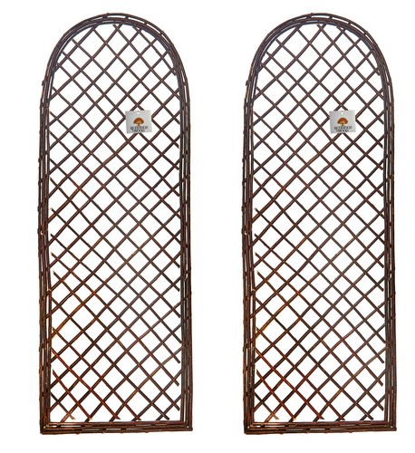 Willow framed garden - willow,