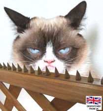 Wall Fence Top Spikes Strip