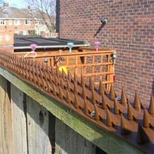 10 FENCE TOP SPIKES STRIPS